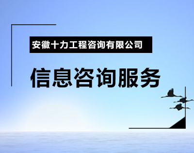 信息咨询服务